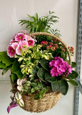 Mothers day Basket arrangements