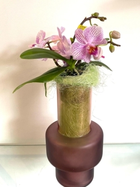 Mini orchid Vase Design